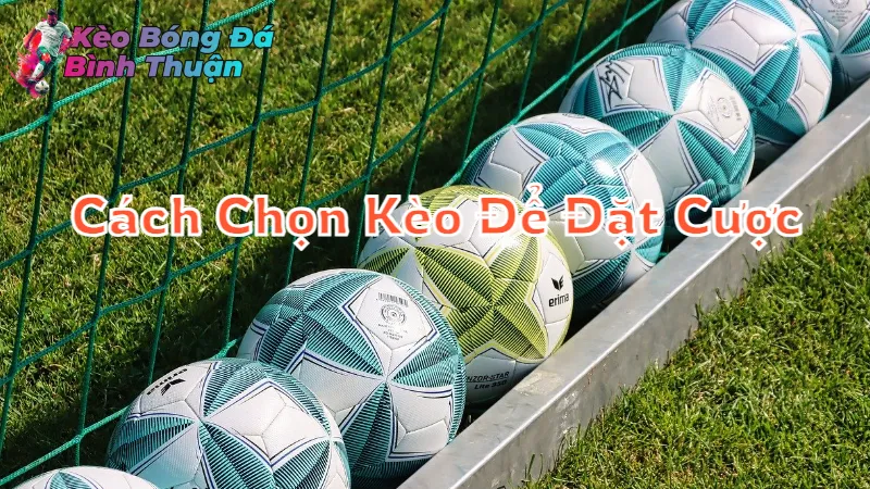 Cách Chọn Kèo Để Đặt Cược Hiệu Quả Tại Bình Thuận 2024