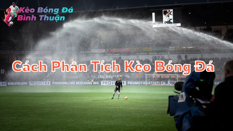 Cách Phân Tích Kèo Bóng Đá Châu Âu Tại Bình Thuận 2024