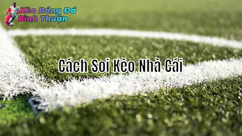 Cách Soi Kèo Nhà Cái Để Chiến Thắng Tại Bình Thuận 2024