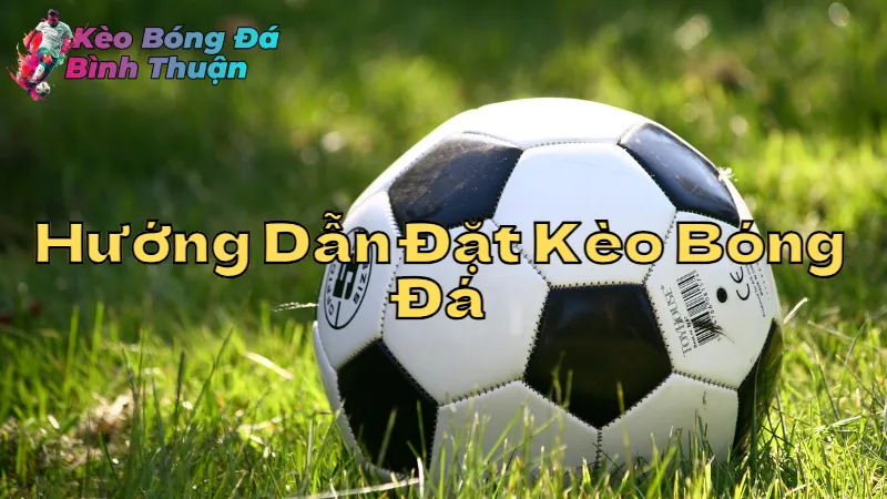 Hướng Dẫn Đặt Kèo Bóng Đá Dài Hạn Cho Người Mới 2024