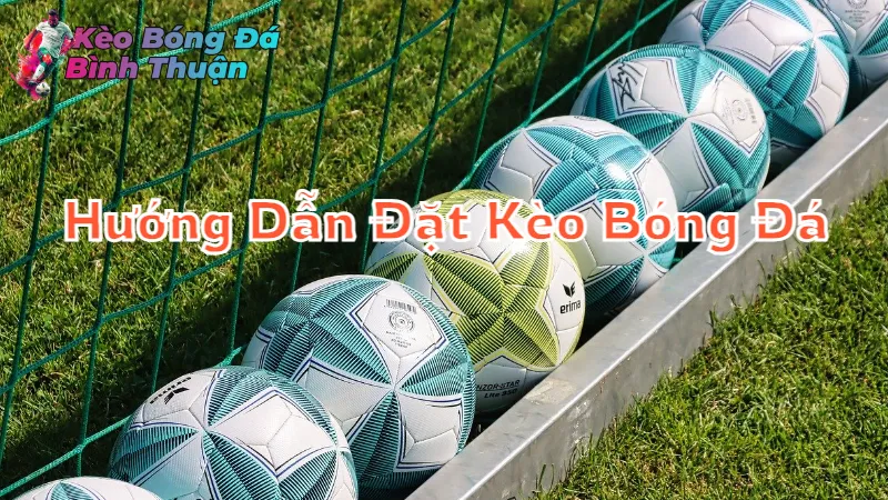 Hướng Dẫn Đặt Kèo Bóng Đá Trực Tuyến Chính Xác 2024