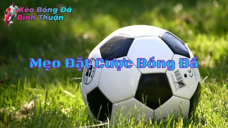 Mẹo Đặt Cược Bóng Đá Bình Thuận Không Thua Cho Người Mới 2024