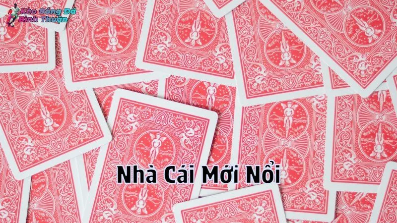 Nhà Cái Mới Nổi Với Trò Chơi Đa Dạng