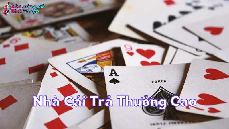 Nhà Cái Trả Thưởng Cao Và Hoàn Tiền Hấp Dẫn