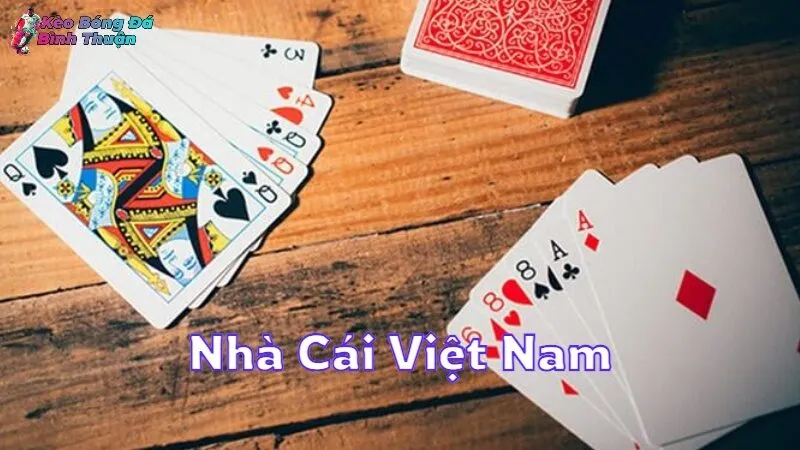 Top Nhà Cái Việt Nam Được Yêu Thích Nhất